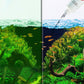 🎁 Aanbieding: 50% korting 🔥 Effectieve algenbestrijding voor aquariums