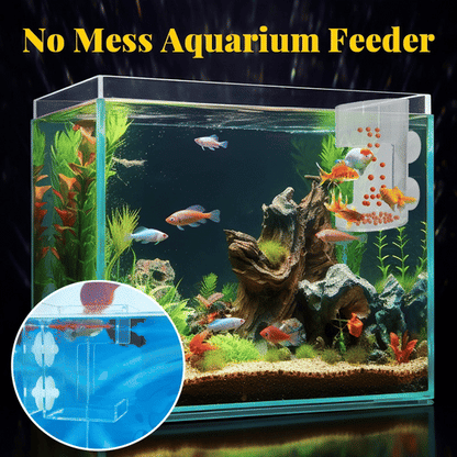 🐠✨ Voerring en -bakje voor Aquariums – Netjes en Gericht Voeren