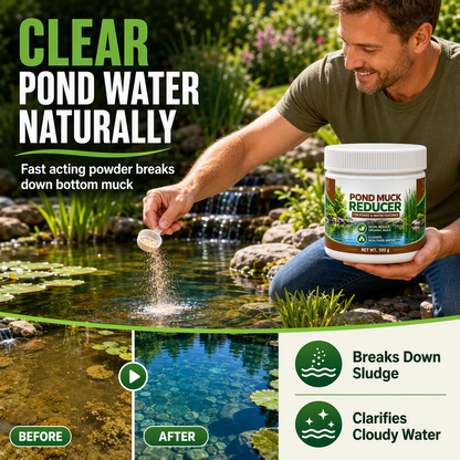 🐟 50% korting! Vijverwater helderheidspoeder – natuurlijke bacteriën verteren bodemslib & helderen water op. Eenvoudig in 3 stappen – voor alle vijvermaten! ✨💧